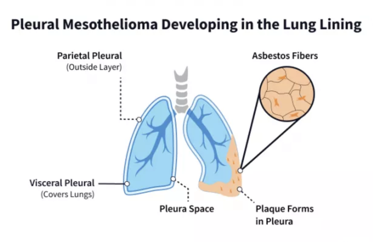 Screenshot-2023-07-21-at-18.11.12-1