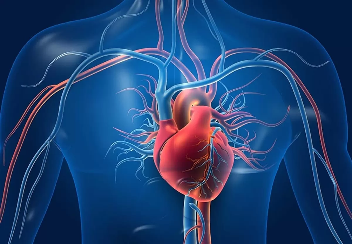 Exploring Pericardial Mesothelioma: The Rare Form of Mesothelioma